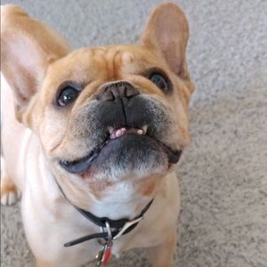 Meet your Posher, Bree